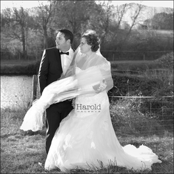 Logo Harold Galerie-Photographe-Lyon